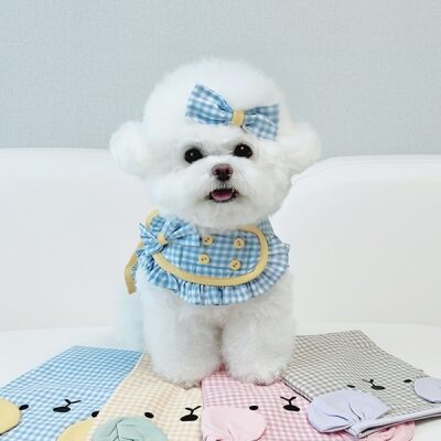 New Frill gelato Harness-Blue Lemonade