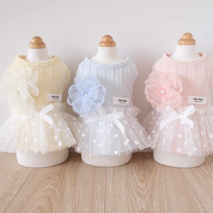 Ballet Core Dress