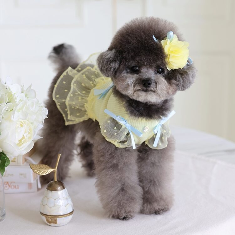 Ribbon Puff Sleeve (Yellow)