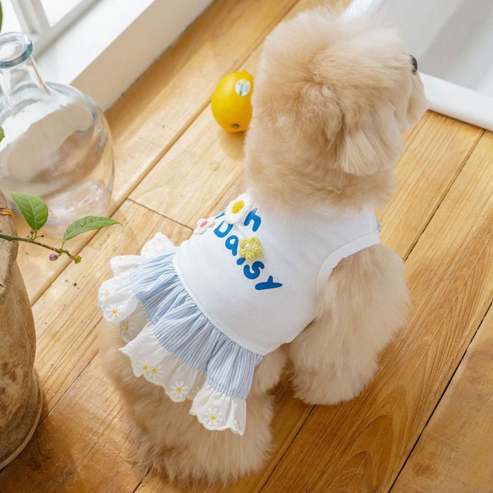 Oh My Daisy Ops (White)