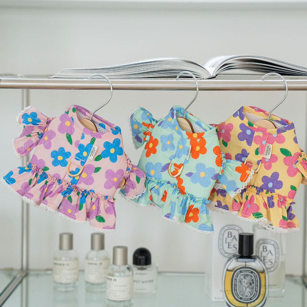 Flower Pop Frill Harness
