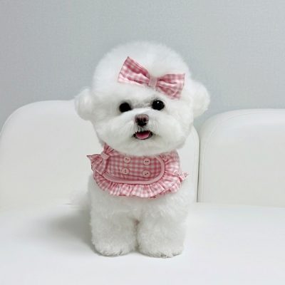New Frill gelato Harness-Strawberry Cream