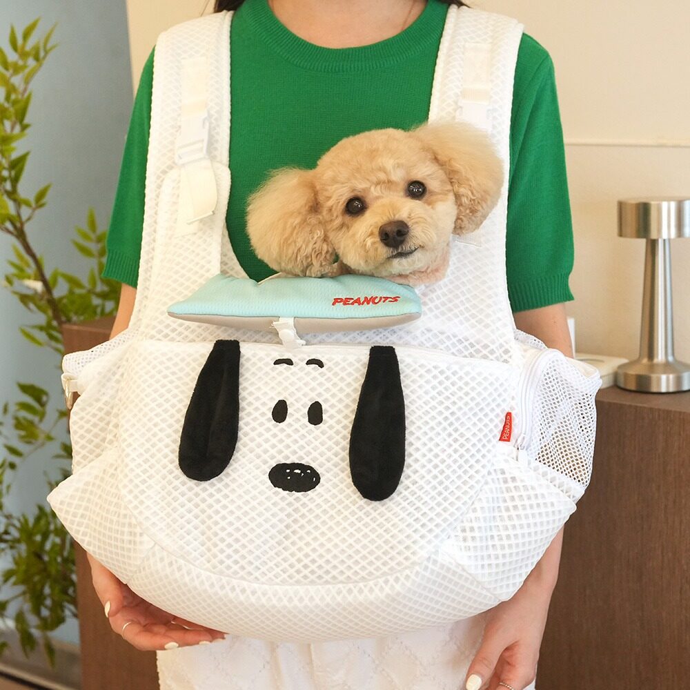 Peanuts Mesh Front Sling Bag