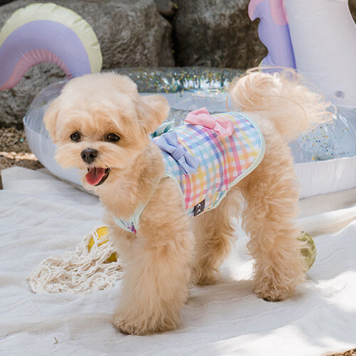 Candy Check Sleeveless