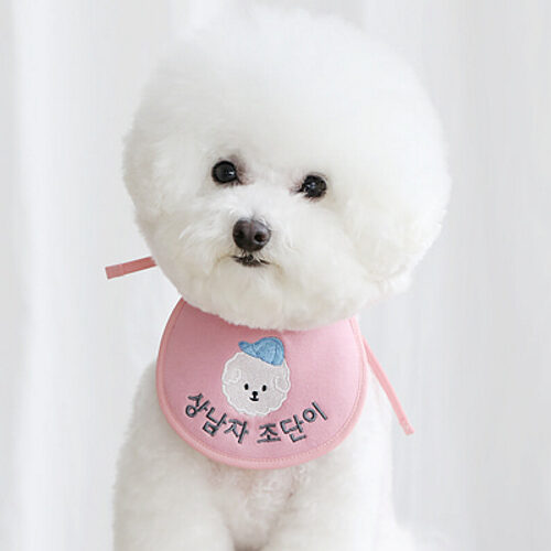 Smile bebe scarf bib