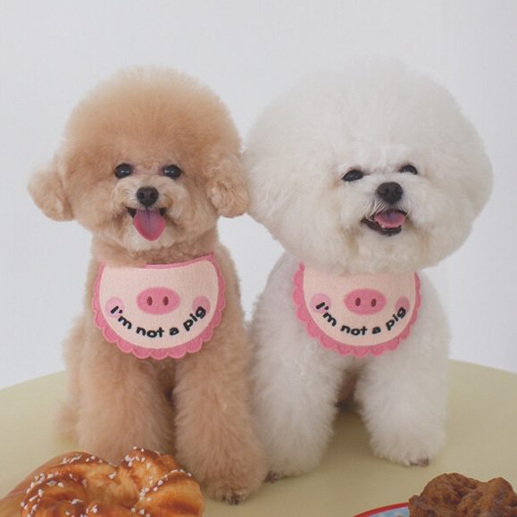 I'm not a Pig Bib