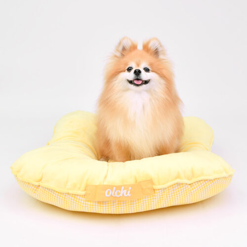 Olchi Picnic Bread Cushion