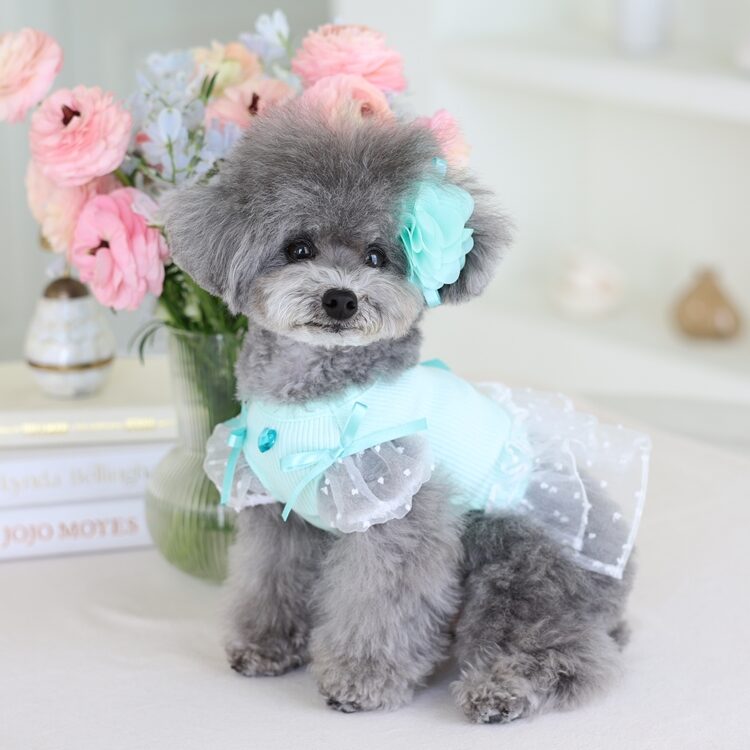 Ribbon Puff Sleeve (Mint)