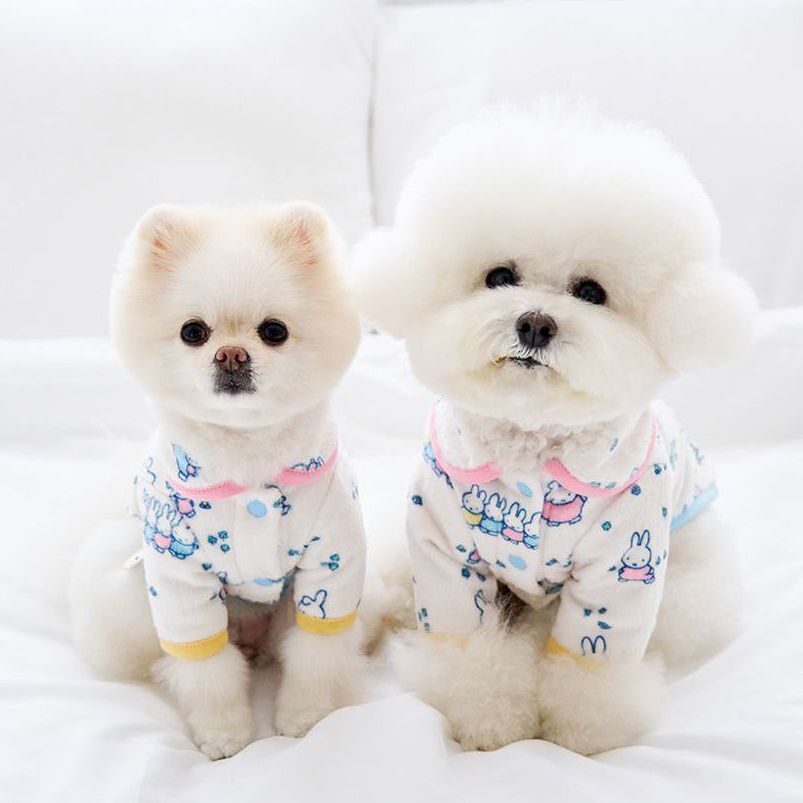 Snow Miffy Fleece Jacket