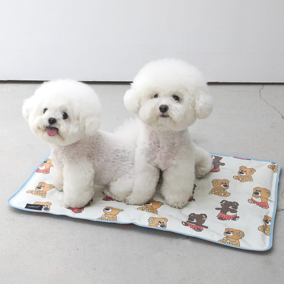 Hawaii Joy Bear Cool Mat