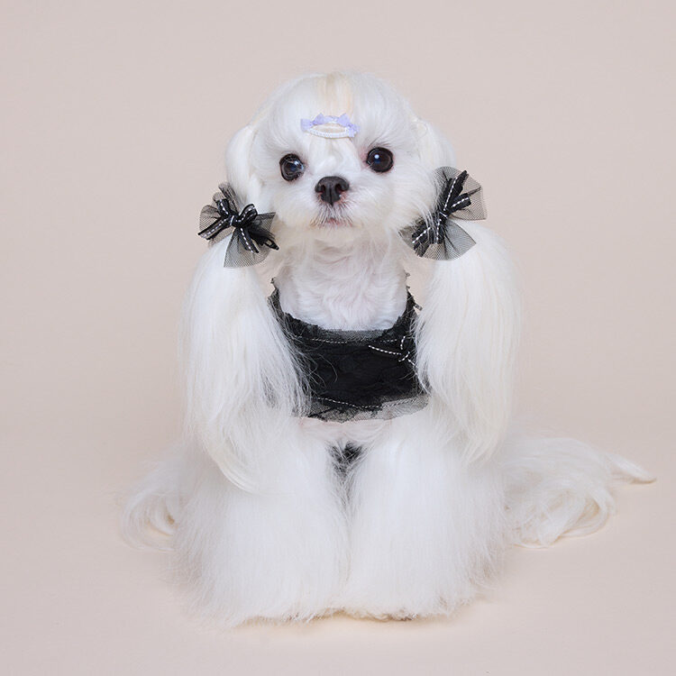 Vintage Ribbon Frill Harness (Black)