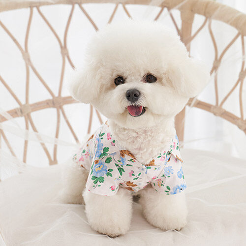 Blooming Teddy Shirts