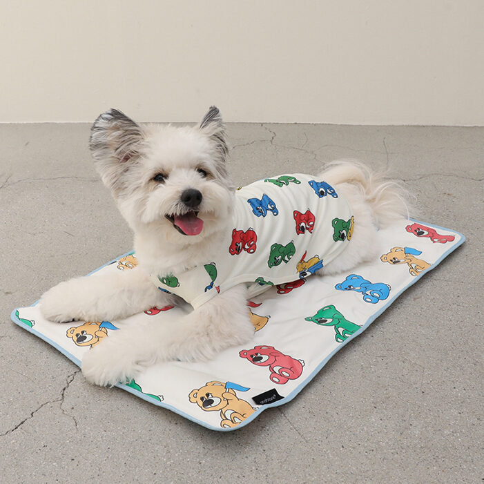 Joy Bear Rainbow Cool Mat