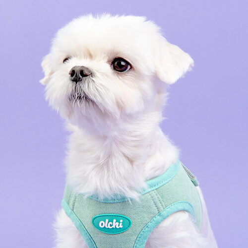Olchi Hug Harness
