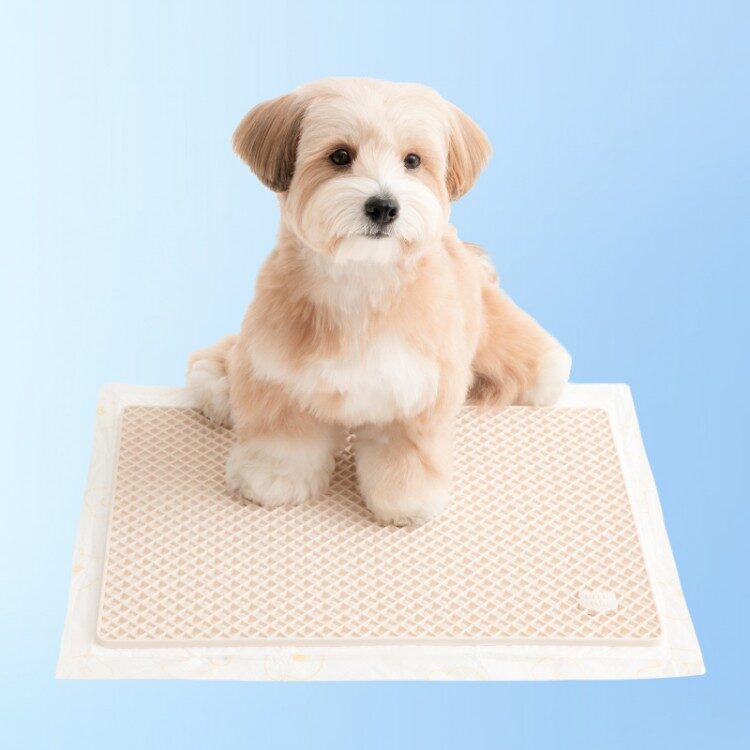 Zero Guard Mat