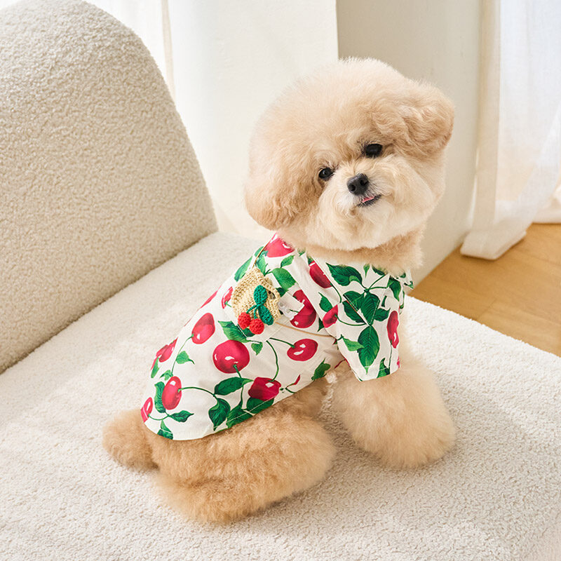 SunShirts (Cherry)