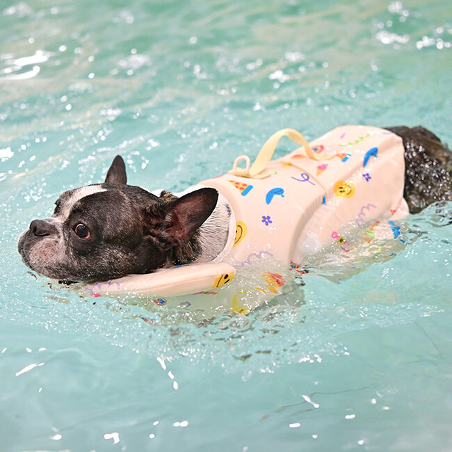 Rainbow Life Vest