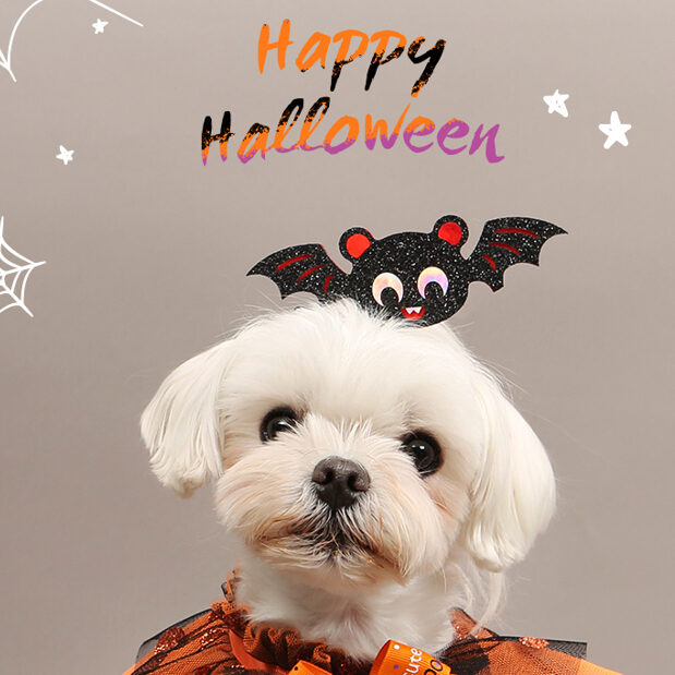 Halloween Stand Pin