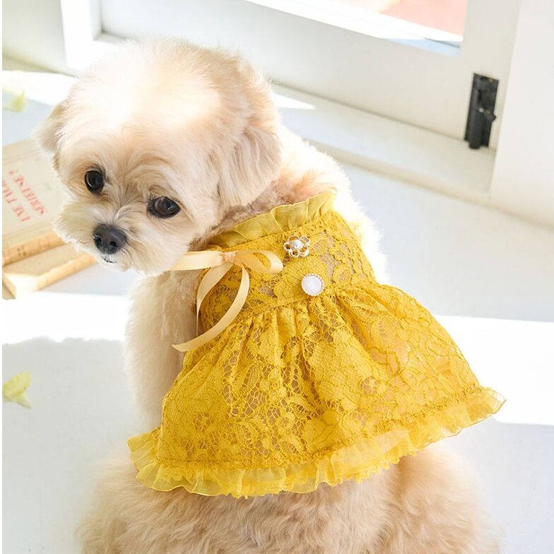 Blooming Dress (Yellow)