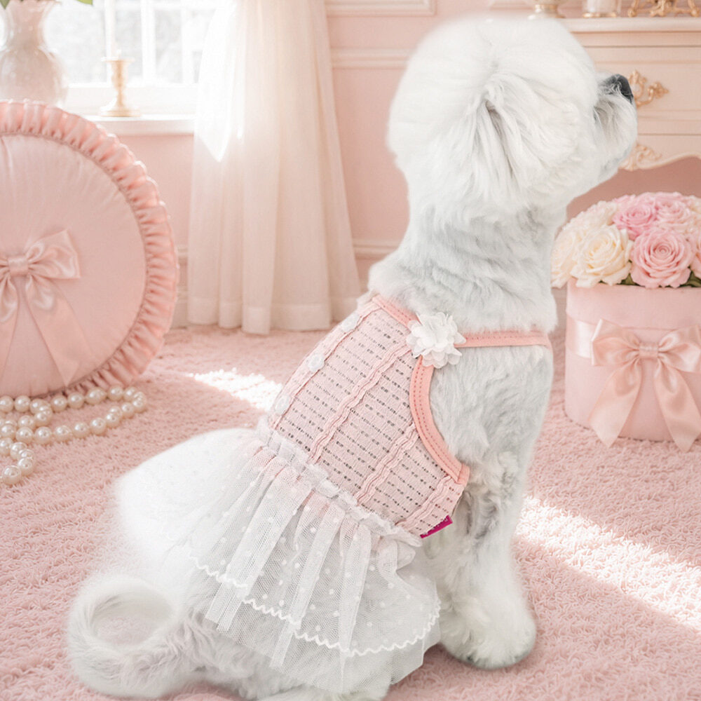 Tutu Mini Dress