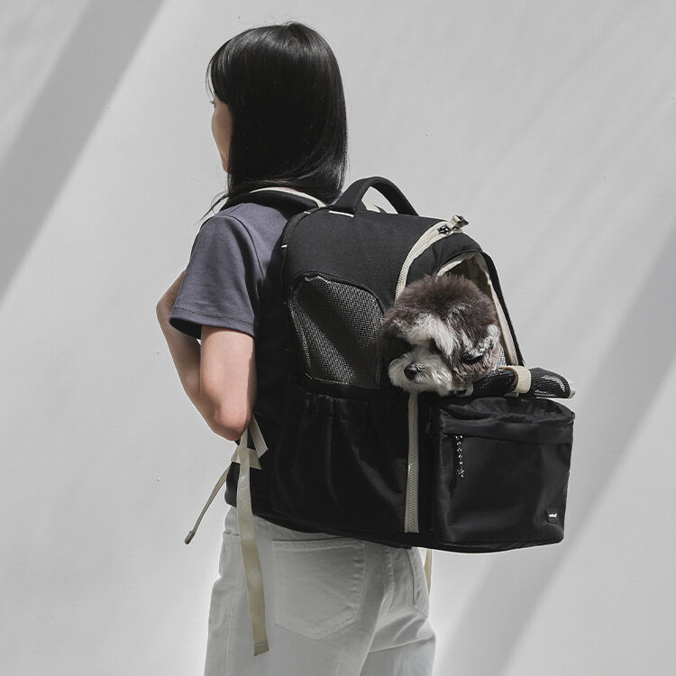 AndBlank Day Pack