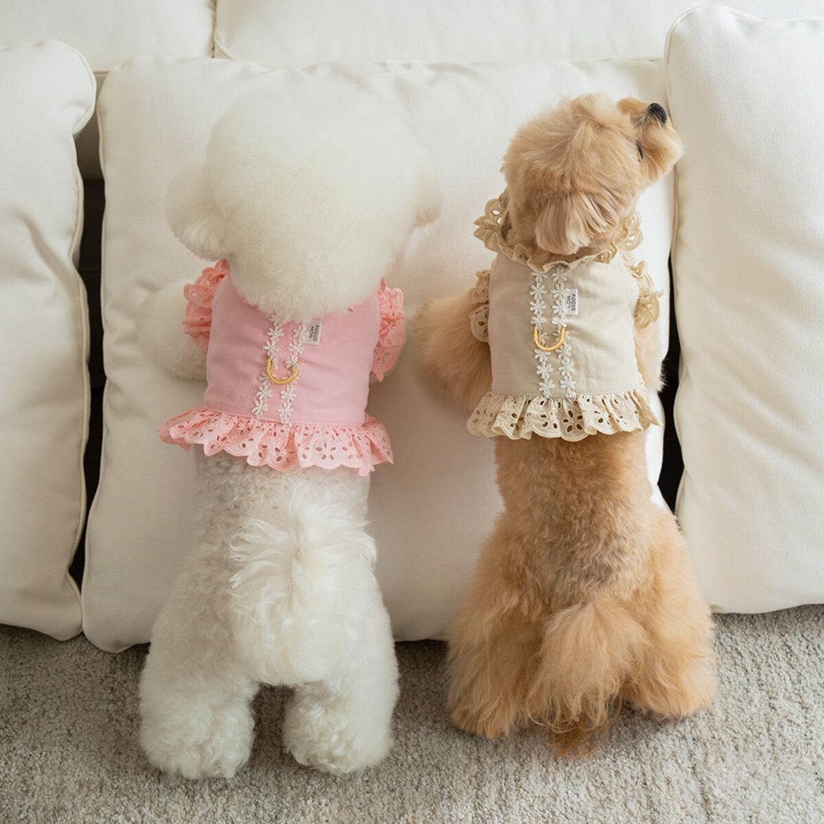 Daisy Harness (2color)