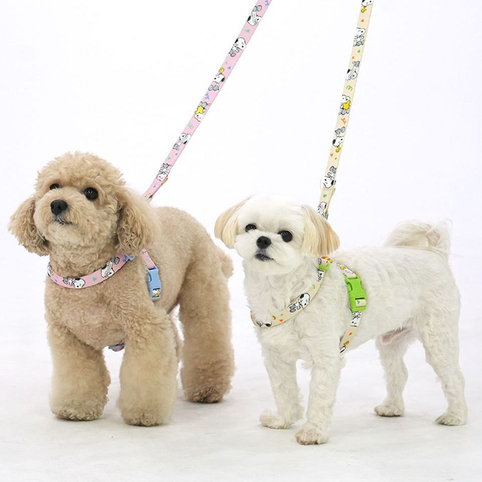 Peanuts Theme Harness