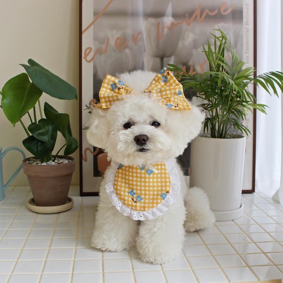 Check Flower Bib