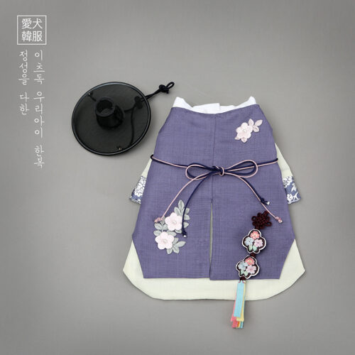 世賢李氏韓國新年服