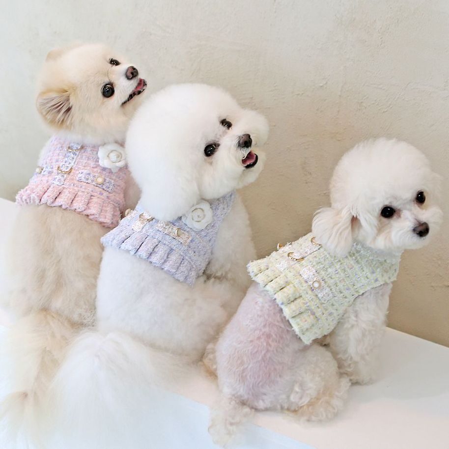 Chloe Tweed Harness