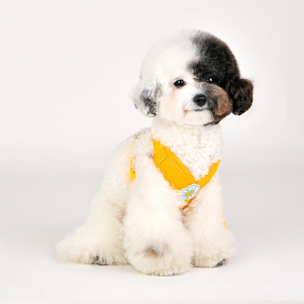Olchi Daisy X Harness