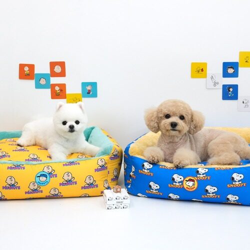Peanuts Pop Print Bed