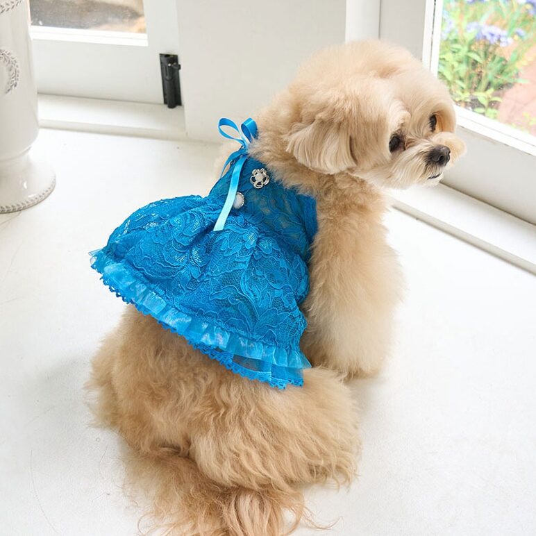 Blooming Dress (Cobalt Blue)