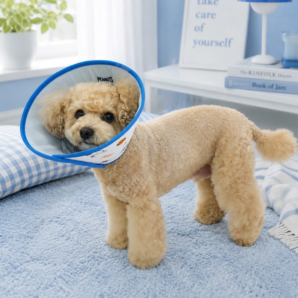 Peanuts Cool Elizabeth Collar