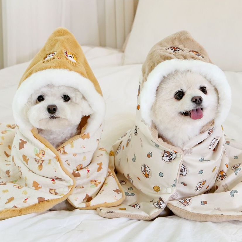 Disney Organic Blanket (Chip and Dale)