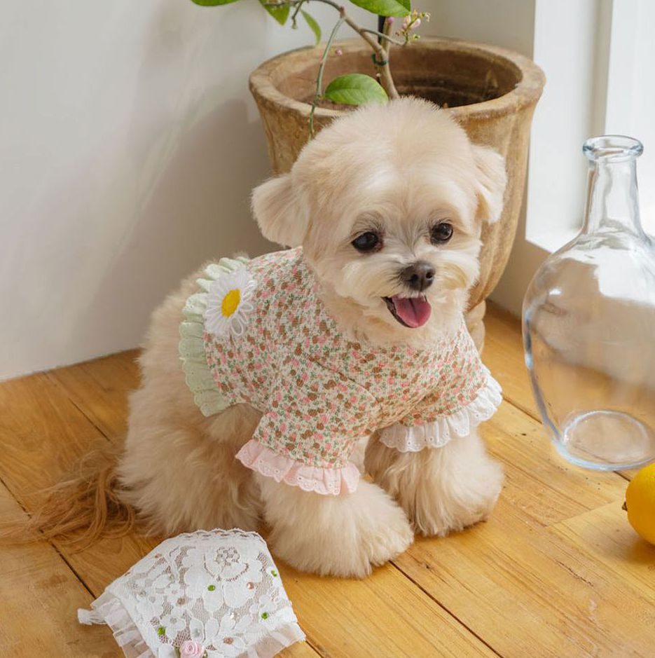 Daisy Garden TS (Pink)