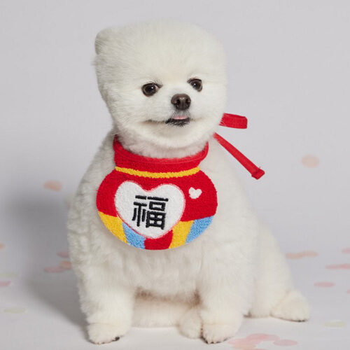 韓國新年福袋圍巾
