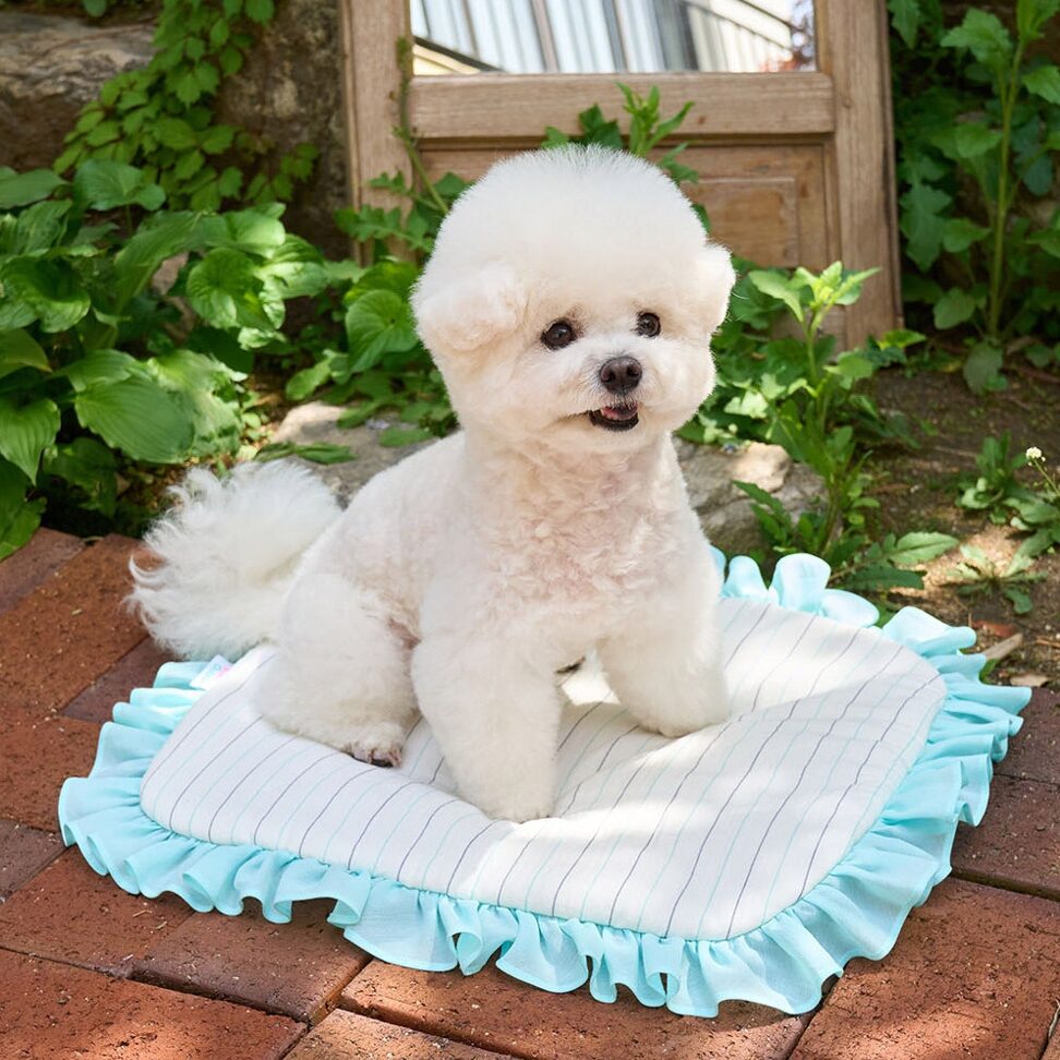 Cool Cushion (Mint Stripe)