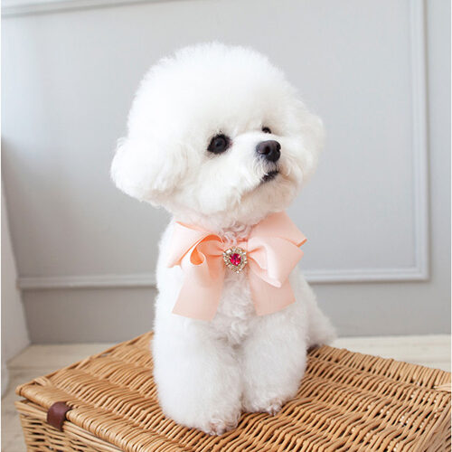 Tory Ribbon Necklace