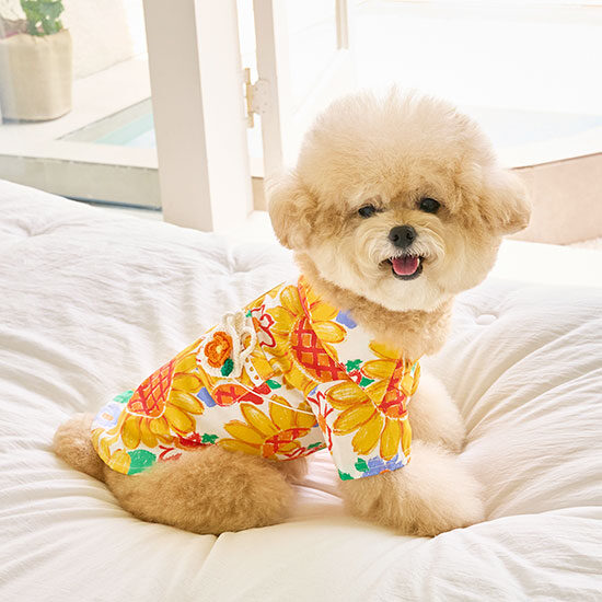 SunShirts (Sunflower)
