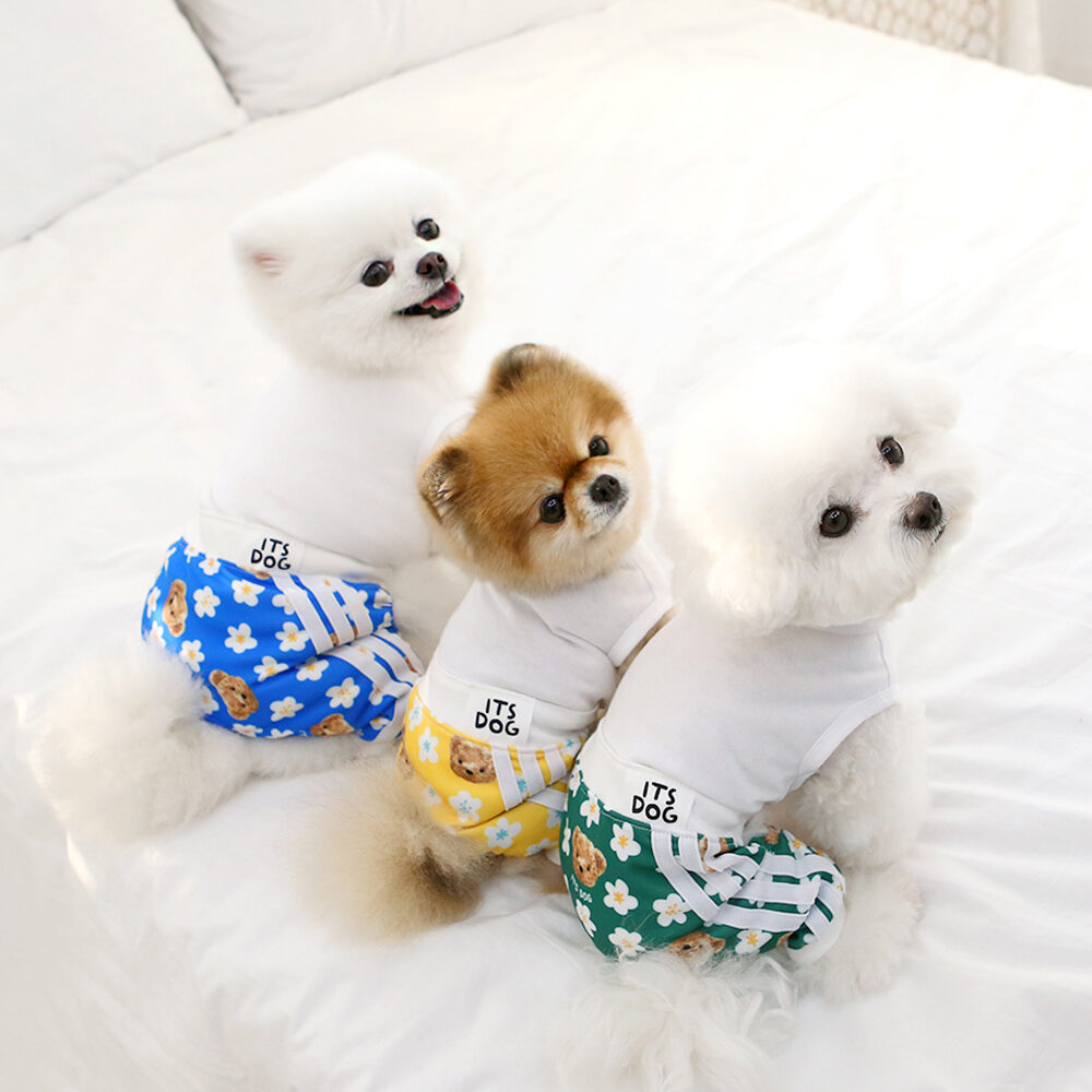 Teddy Blossom All in One