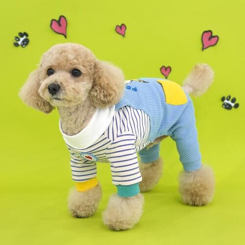 Peanuts Two Pocket All-in-One