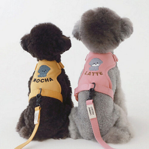Macaron custom harness