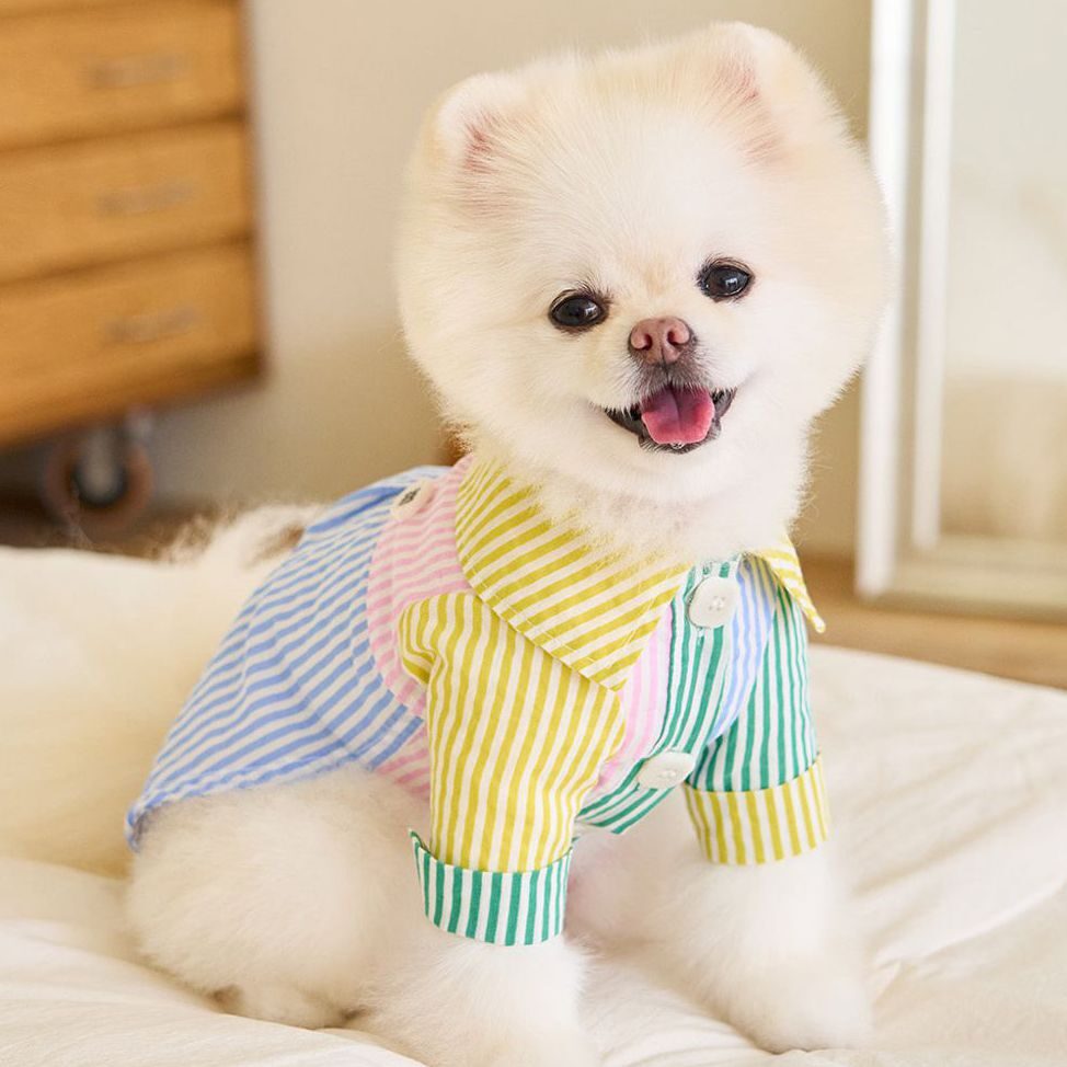 Stripe Pirin Shirt