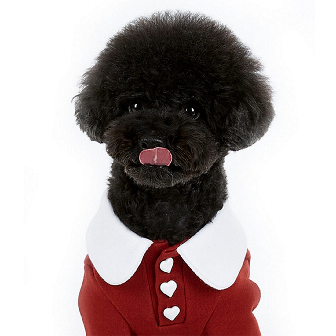 J.O.Y! Heart Button Collar T - Burgundy
