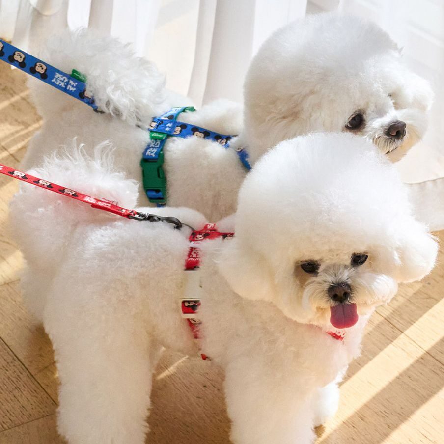 Disney Friends H Harness
