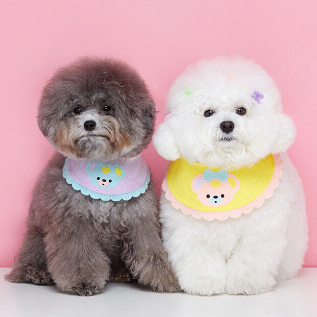 Baby Bear Cape