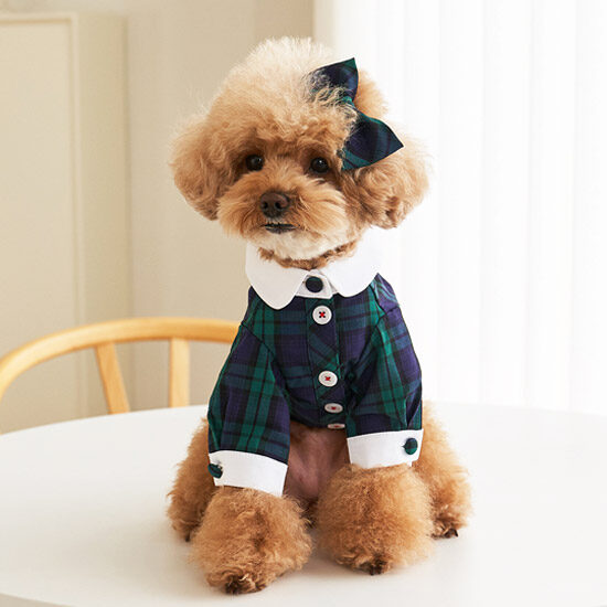 Preppy Shirts
