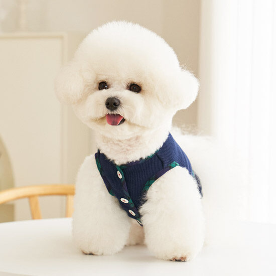 Preppy Vest