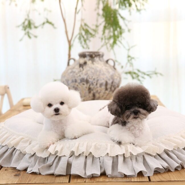 Honey Frill Rug